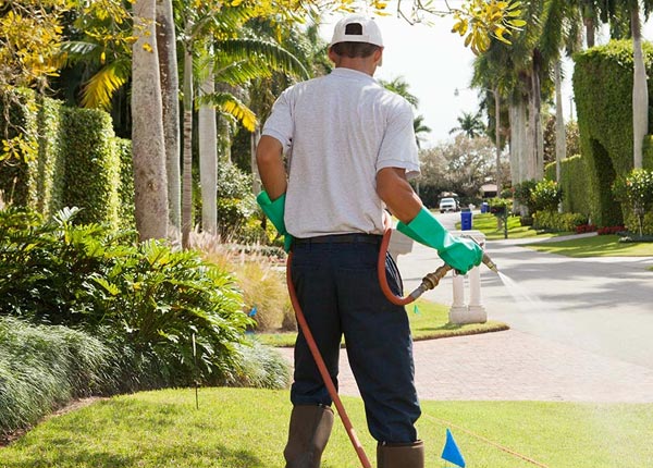 About Cedar Rapids IA Pest Control